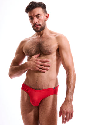 BC81 Silky Rib Brief