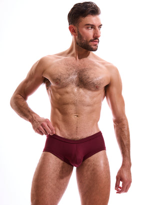 HB44 Holiday Brushed Trunk